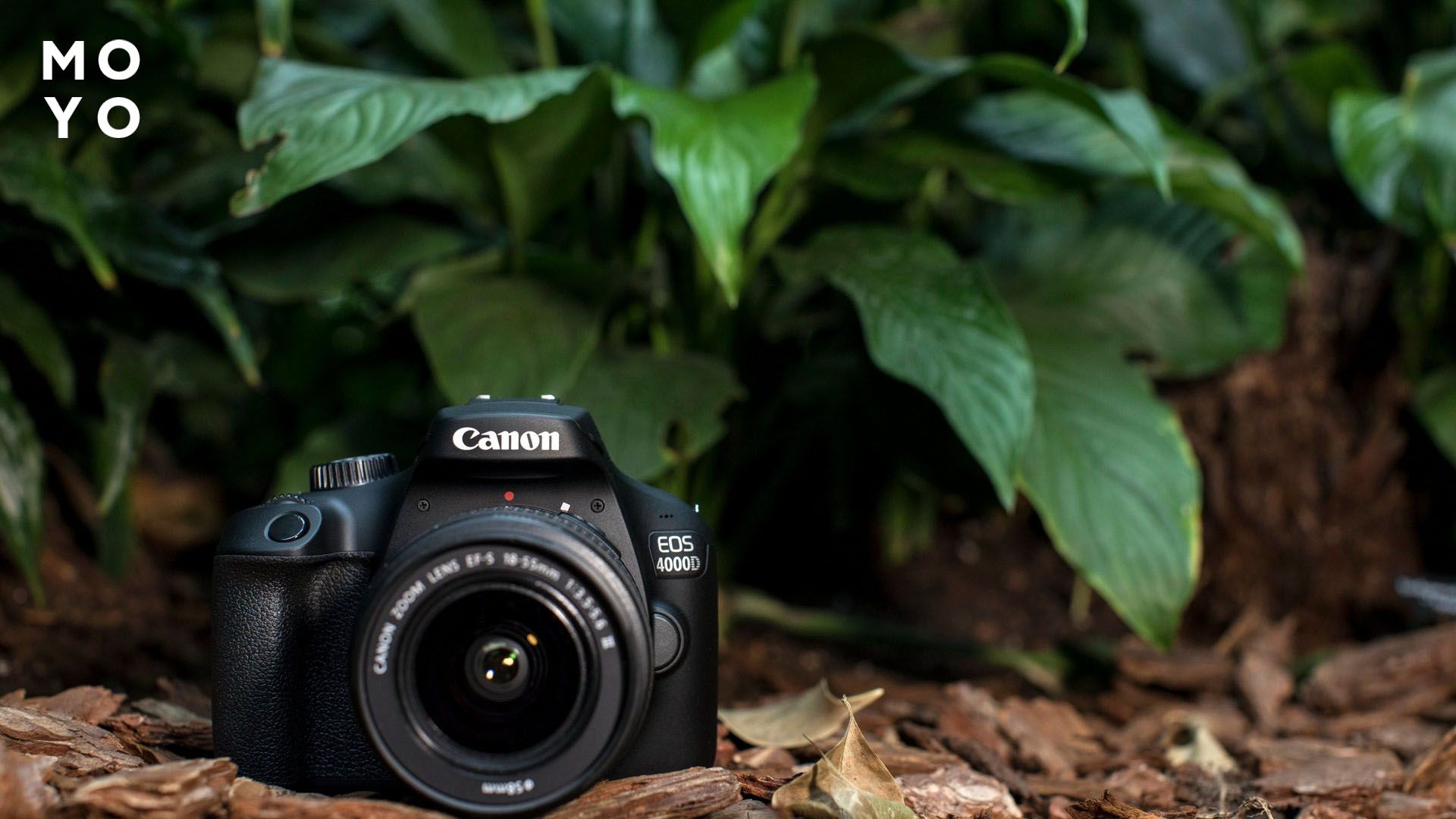 Дзеркальний фотоапарат CANON – купити дзеркалку КЕНОН в Києві та ...